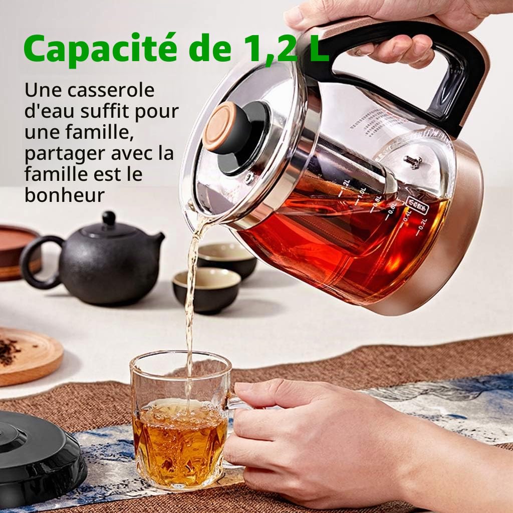 YXCKG Theiere avec Infuseur, 1,2 L 700 W Bouilloire, Bouilloire Thermostat Réglable, Filtre Anti-Calcaire Amovible Lavable, Bouilloire en Verre avec Maintien Chaud Jusqu'à Compact Home