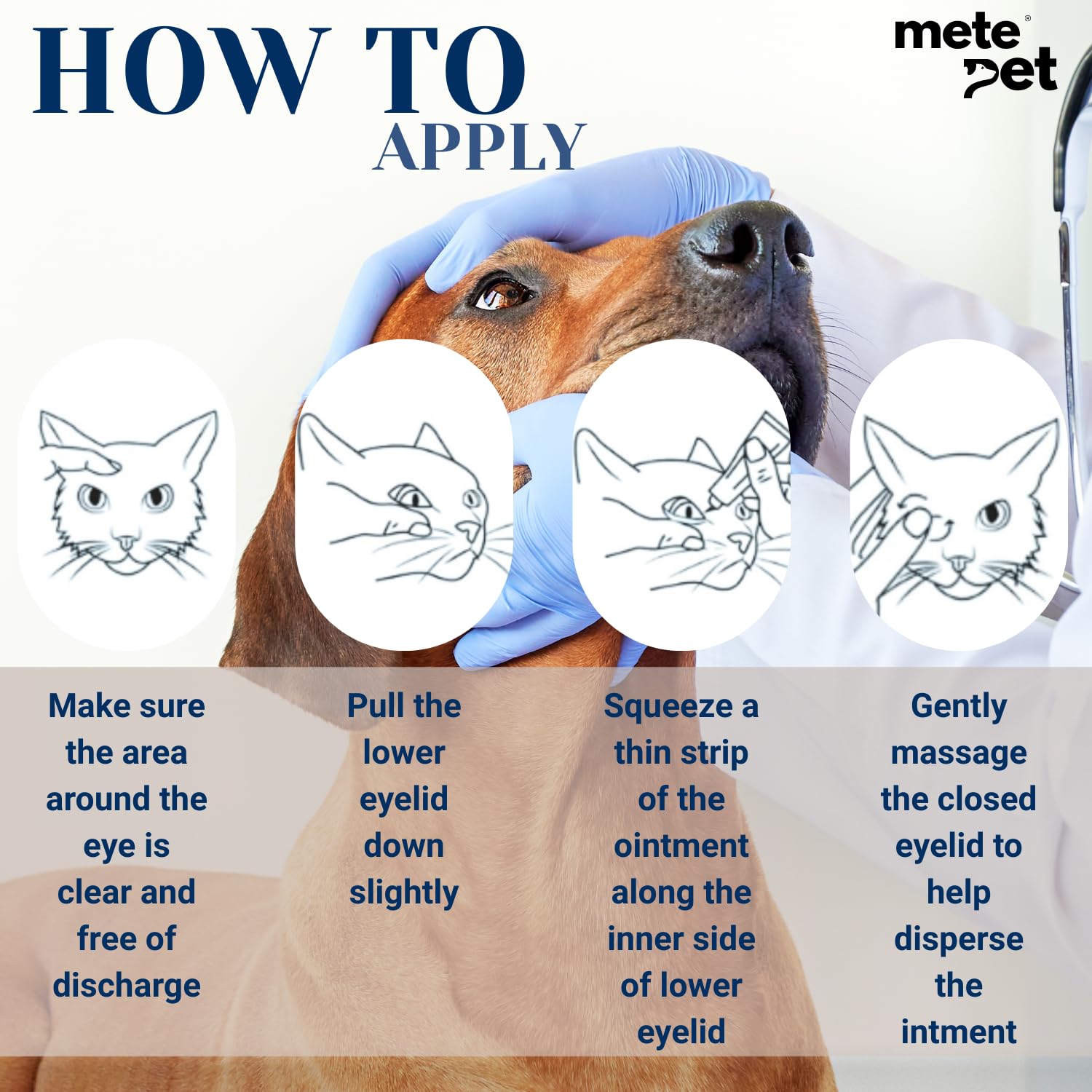 Vetromycin Plus Pet Eye Cream Health for Dogs, Cats, Cattle, Sheep, Horse, Bird 0.35 oz / 10 gr, 1 Tube — Amazon image 7