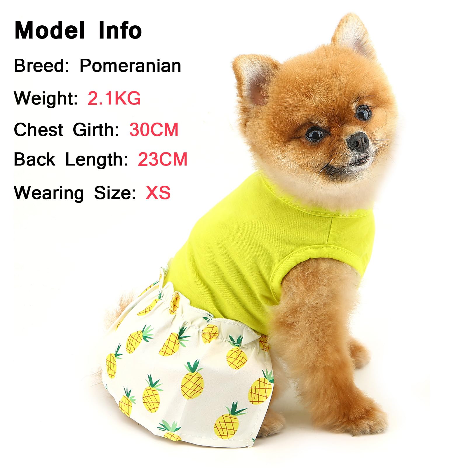 SMALLLEE_LUCKY_STORE Dog Dresses for Small Dog Girls Comfortable Puppy Vest Dress with Pineapple Spring Summer Stretchable Breathable Pet Skirt Chihuahua Yorkie Cat Clothes, Yellow, S