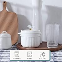 Vista 5 de Contenedor de grasa de tocino con tapa de cristal y colador, contenedor de cerámica de 17 onzas para almacenamiento de aceite para freír