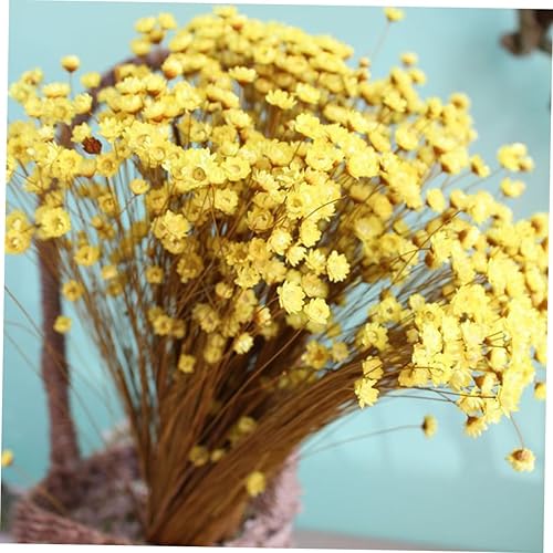 Miniatura 6 de Decoración del hogar, 100 piezas de mini flores secas, mini margarita floral natural para decoración flores decorativas gelatina pequeña estrella