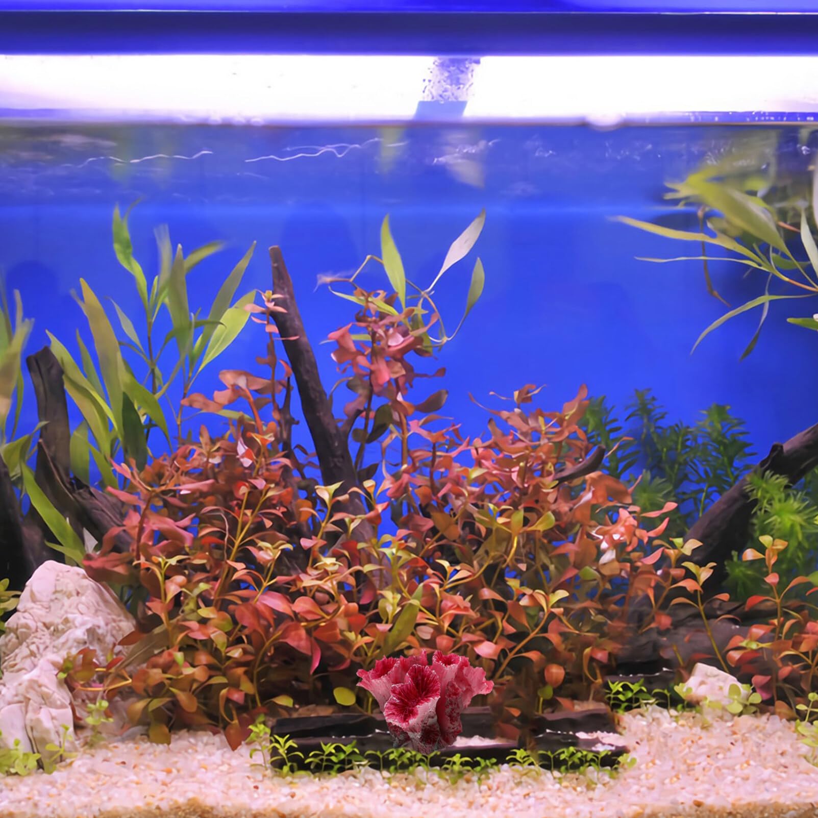Gatuida Künstliche Korallen für Aquarium: Künstliche Korallenpflanze Aquarium Pflanzen Künstlich Dekorationen Koralle Deko Zubehör für Betta, Landschaft