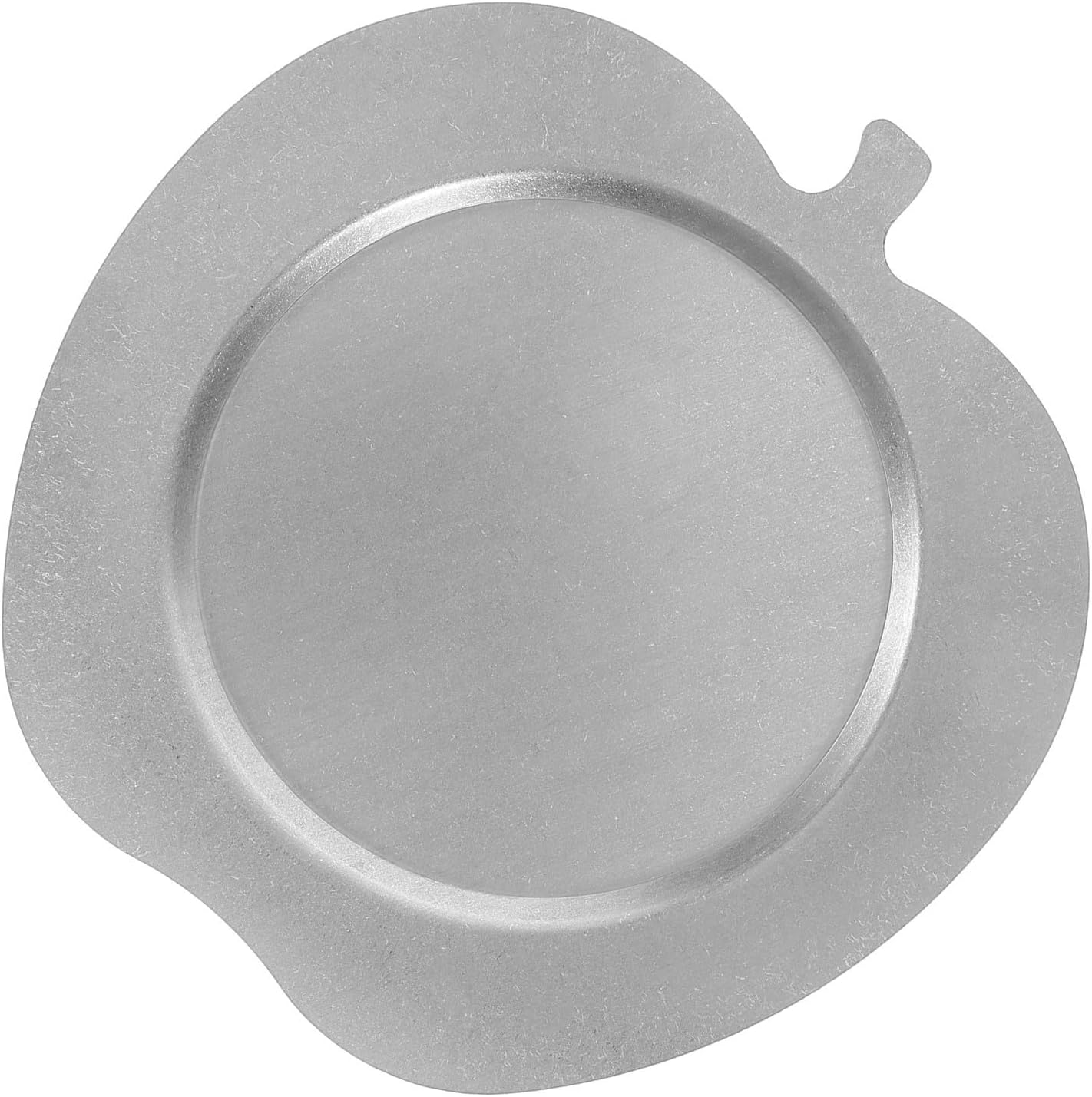 Alipis Vintage Stainless Steel Serving Dish Plate, Sturdy and Easy to Clean, Artistic Fruit-shaped Platter for Bbq, Camping, Dinner, and Outdoor Entertaining