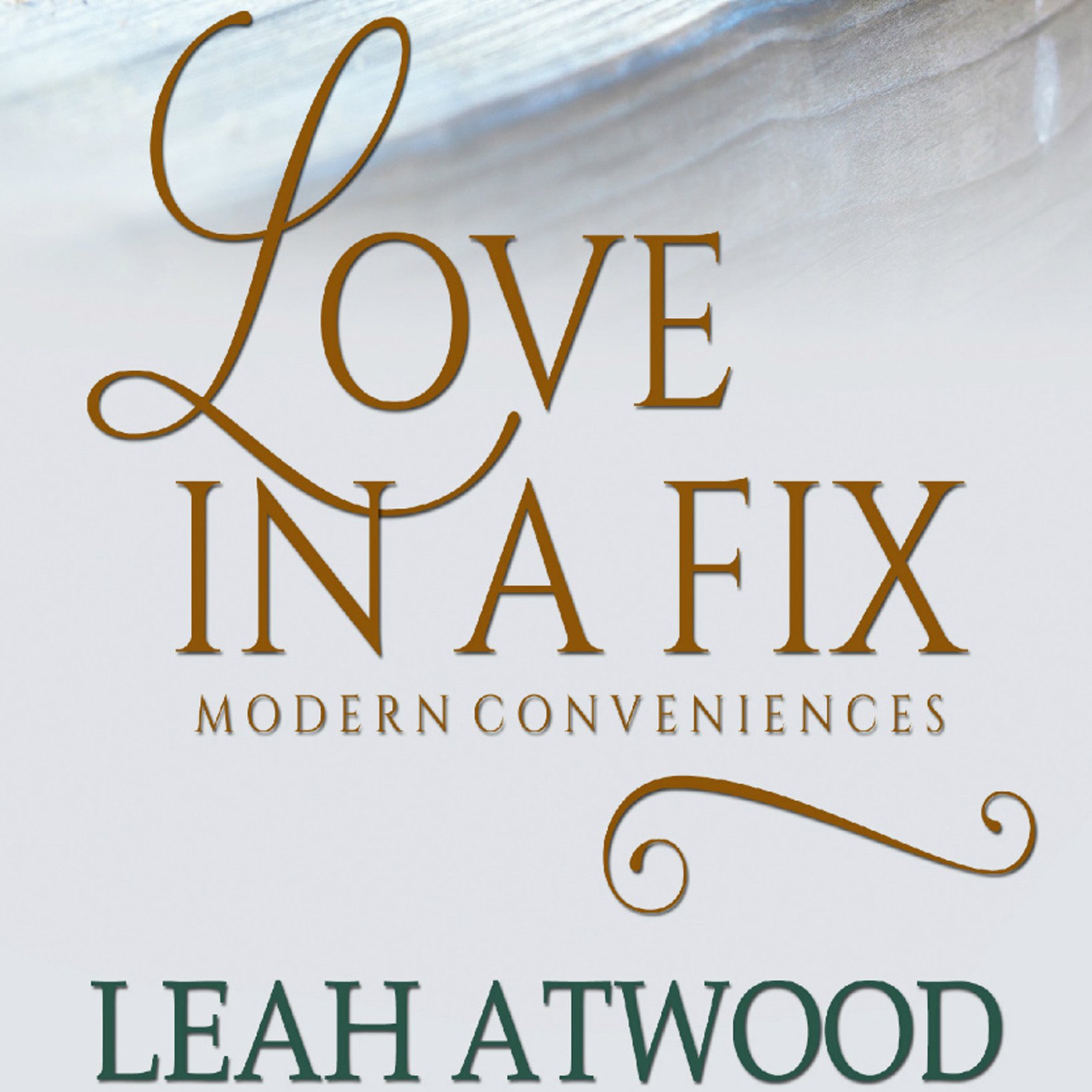 Cover art for Love in a Fix