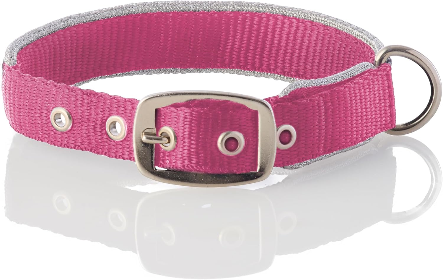Collar Ajustable Pet Passion para Perro Pequeño Plateado/Rosa