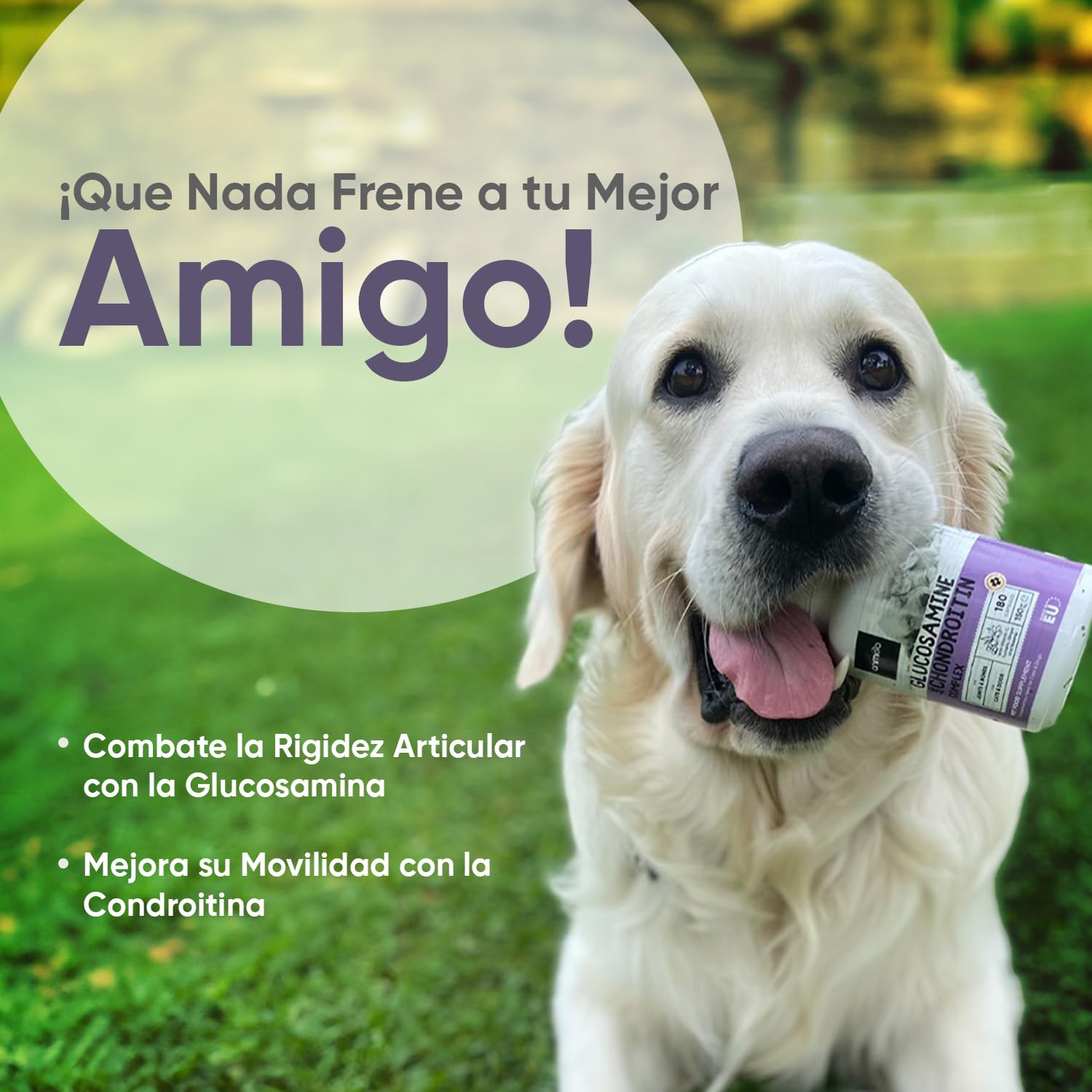 Complejo de Glucosamina y Condroitina 500mg para Perros y Gatos - 180 Cápsulas para Reforzar Articulaciones y Huesos - Condroprotector para Perros con Vitamina C, Cúrcuma, Jengibre y Rosa Mosqueta