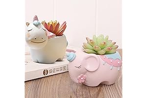 HVEST Elephant Succulent Pot