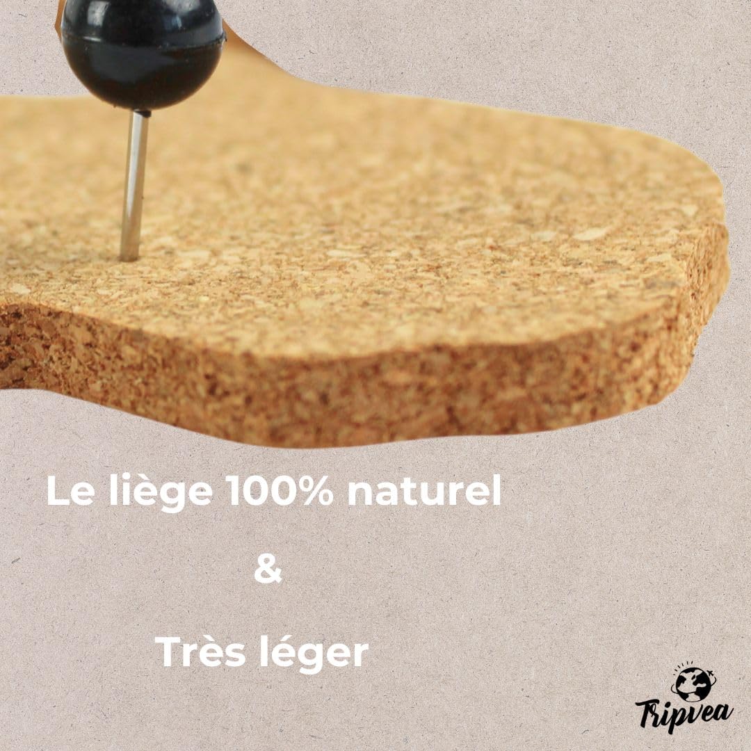 Tableau en Liège | Panneau Mural Carte du Monde 100x46cm – Tableau d’Affichage avec 50 Punaises, Design Vintage & Naturel