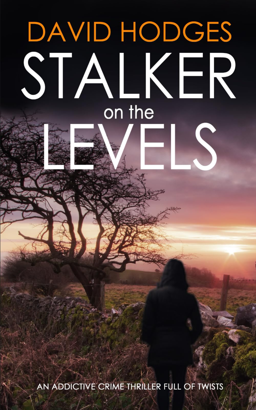 STALKER ON THE LEVELS an addictive crime thriller full of twists: 9 (Detective Kate Hamblin Mystery)