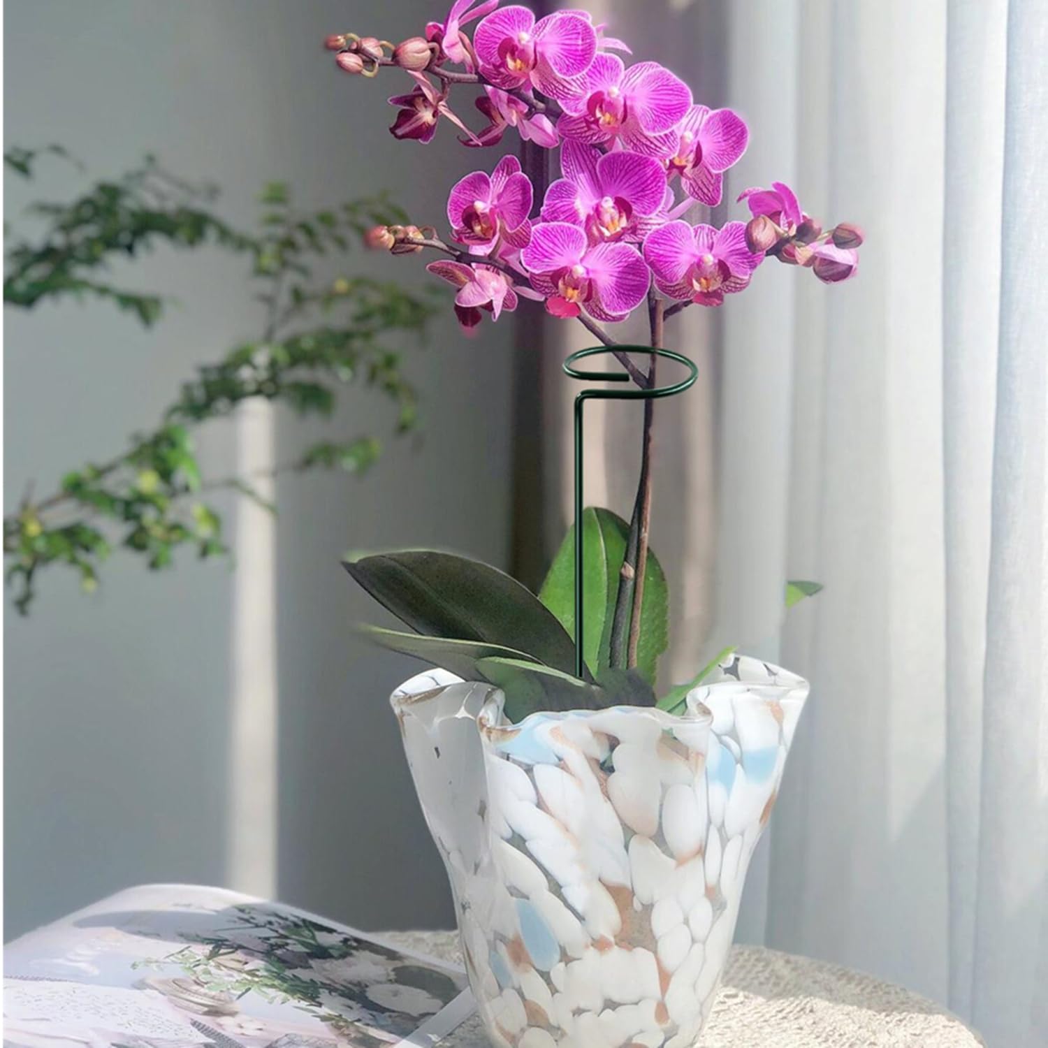 Lot De 6 Tuteurs Plantes 40 Cm – Piquets Verts Ronds, Supports Solides Pour Roses, Pivoines, Tomates Et Plus