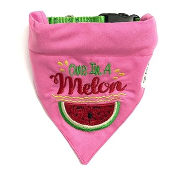 That Dog in Tuxedo Embroidered One in a Melon Dog Bandana with Adjustable Dog Collar (Size - XL)
