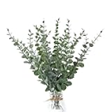 ScarFio Fake Plants, 20Pcs Eucalyptus Stems Artificial Flowers, Fake Eucalyptus Leaves Stems, Plastic Grey Green Touch Leaf Branches for Home Office Flowers Bouquet Centerpiece Wedding Decoration