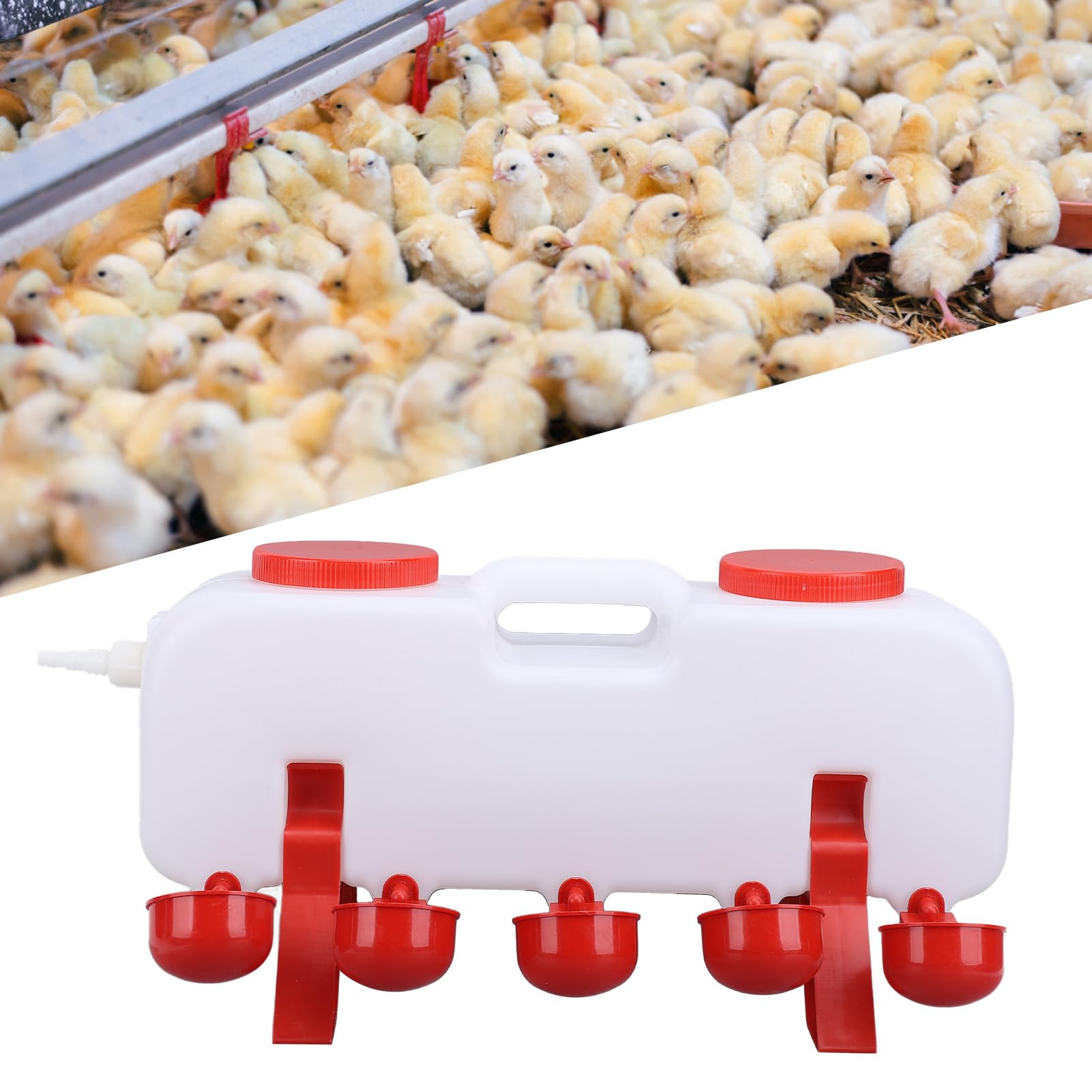 Abbeveratoio per Pollame da 10 Litri con Ricarica Automatica, Mangiatoia Sigillata per Acqua Polli Allevamenti, Pappagalli, Anatre, di Abbeveraggio Sicuro Ed Efficiente (L)