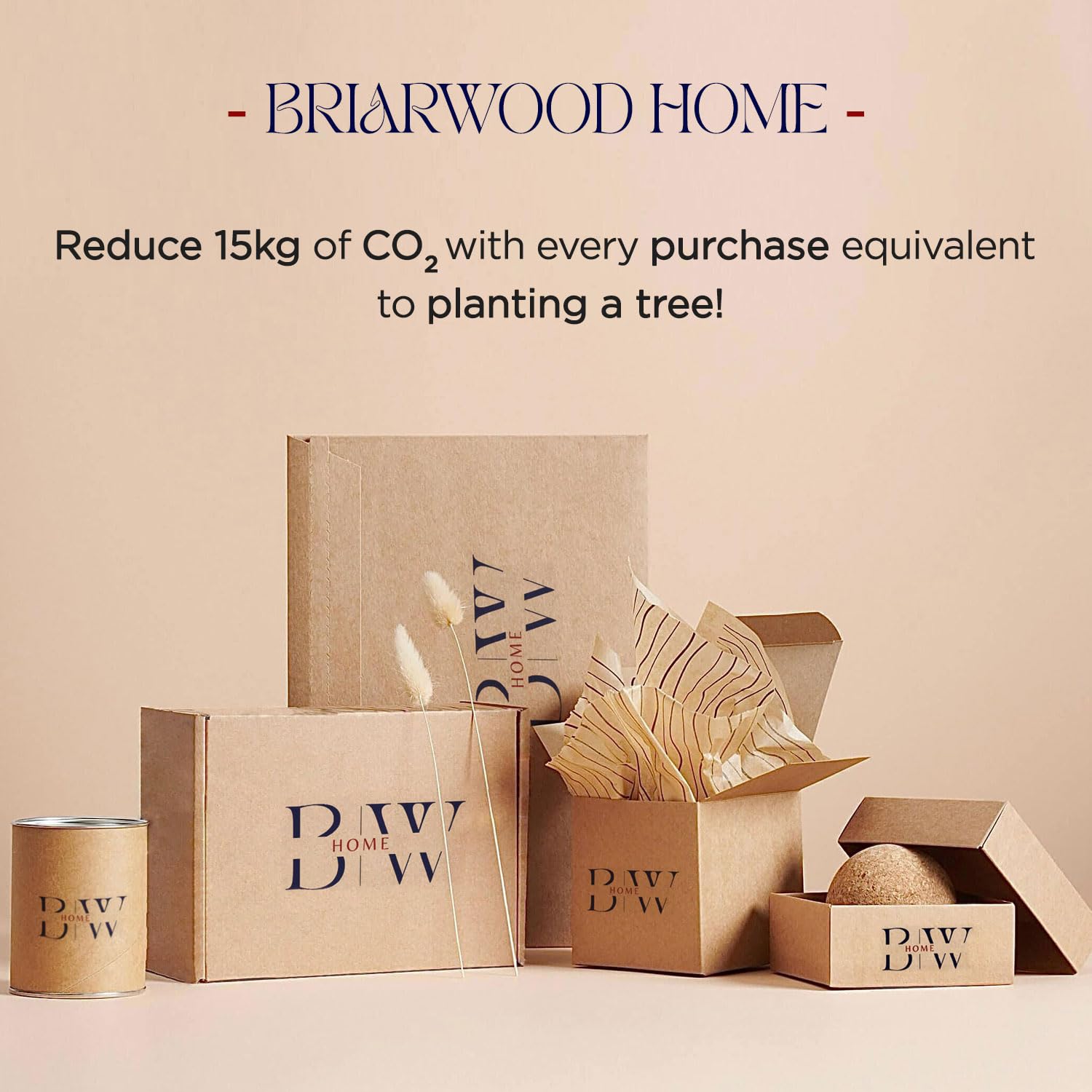 Briarwood Home Set di lenzuola in jersey, 3 pezzi, lenzuola in puro cotone traspirante, con tasca profonda, facili da indossare, comode, morbide, in cotone pregiato (antracite, matrimoniale)