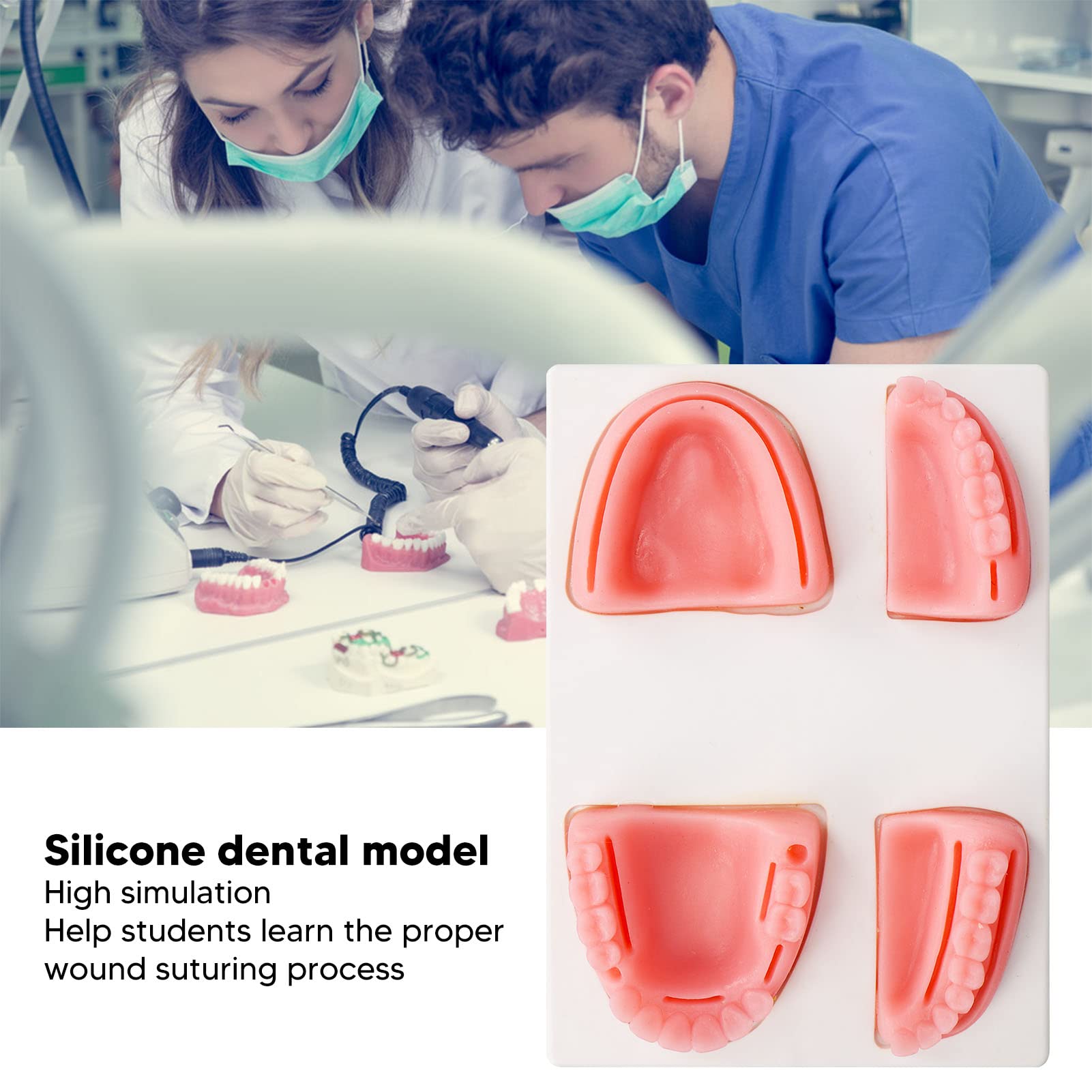 KIT PER LA Pratica Della Sutura Dentale Kit per la Pratica Della Sutura