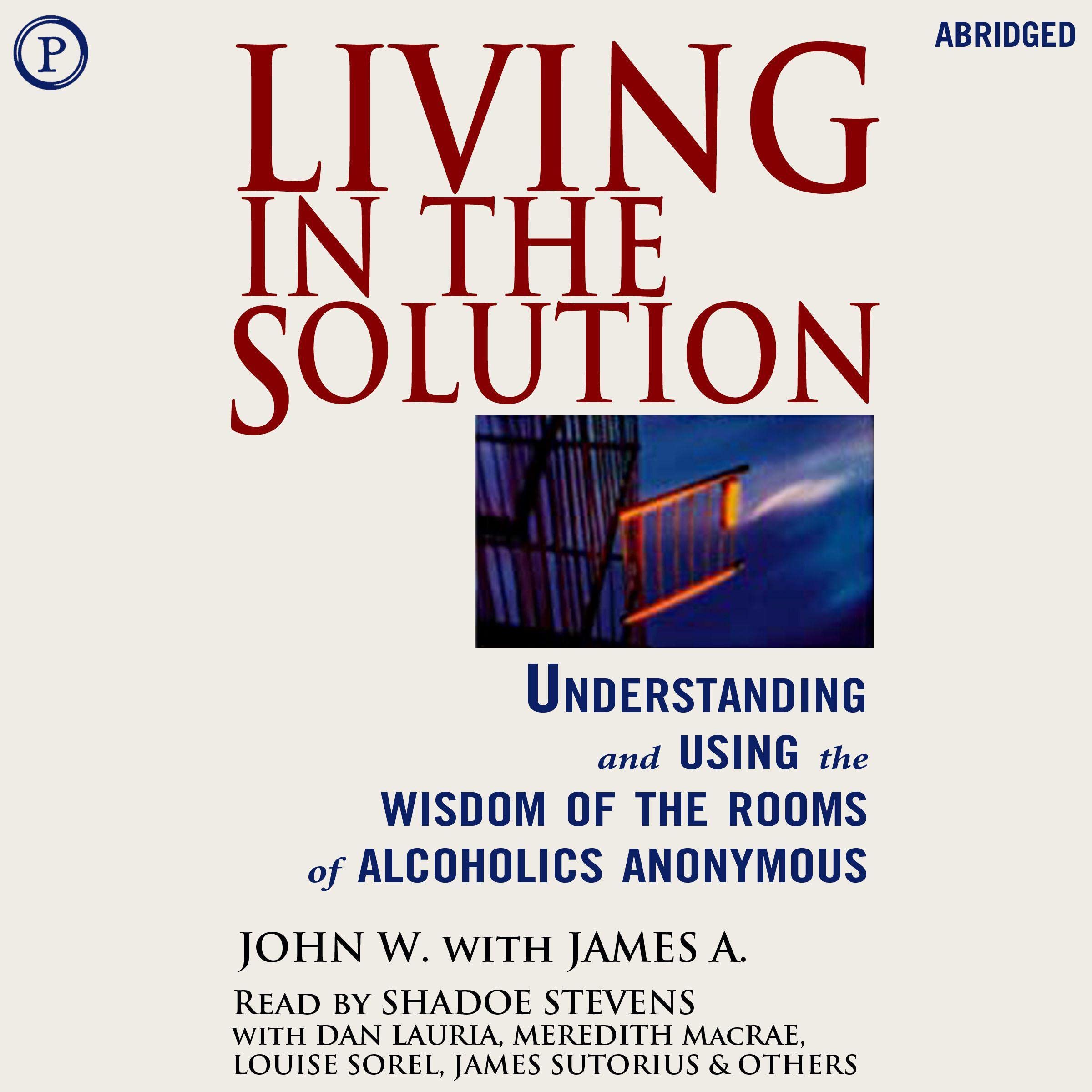Cover art for Living in the Solution