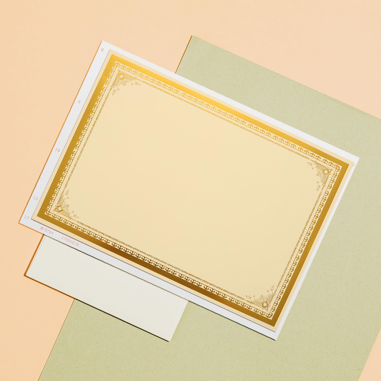 Carta Pergamena per Diplomi e Certificati 30 Fogli Bianco A4 250 Foglia Oro Compatibile Stampanti a Getto d'Inchiostro per Cerimonie e Scolastico