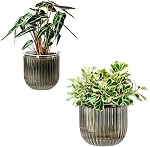 Pots auto-abreuvants pour pots de fleurs intérieurs, 4.3 1 cm 2 Pack Planters Pots de plantes à l'intérieur avec drainage pour les plantes domestiques, sucentes, violettes africaines et cactus