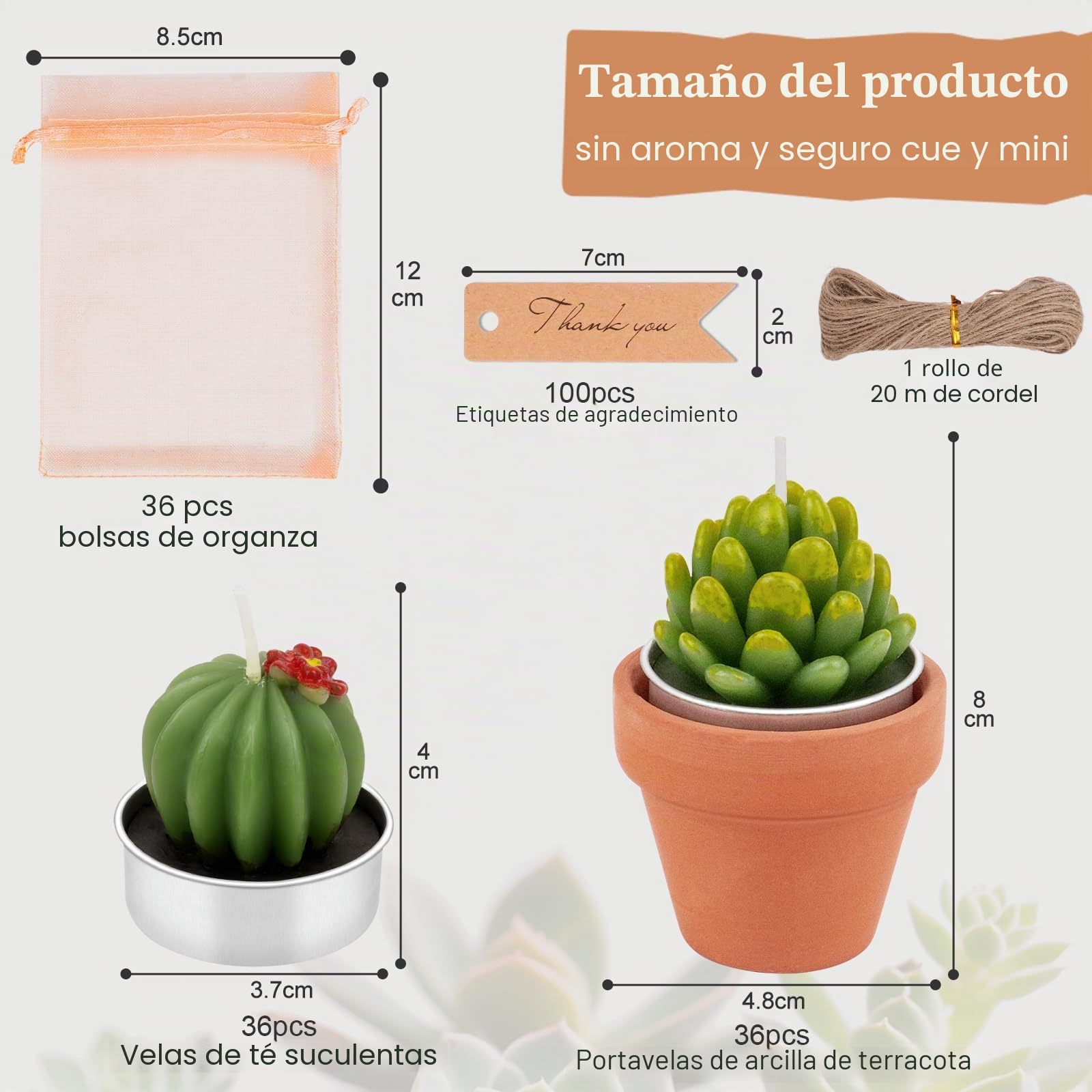 36 Piezas Velas de Cactus Suculentas para Fiestas - Velas de Té Suculentas, Velas a Granel para Regalos, Vela de Té de Cactus con Mini Soportes de Arcilla de Terracota para Decoración de Bodas, Hogar