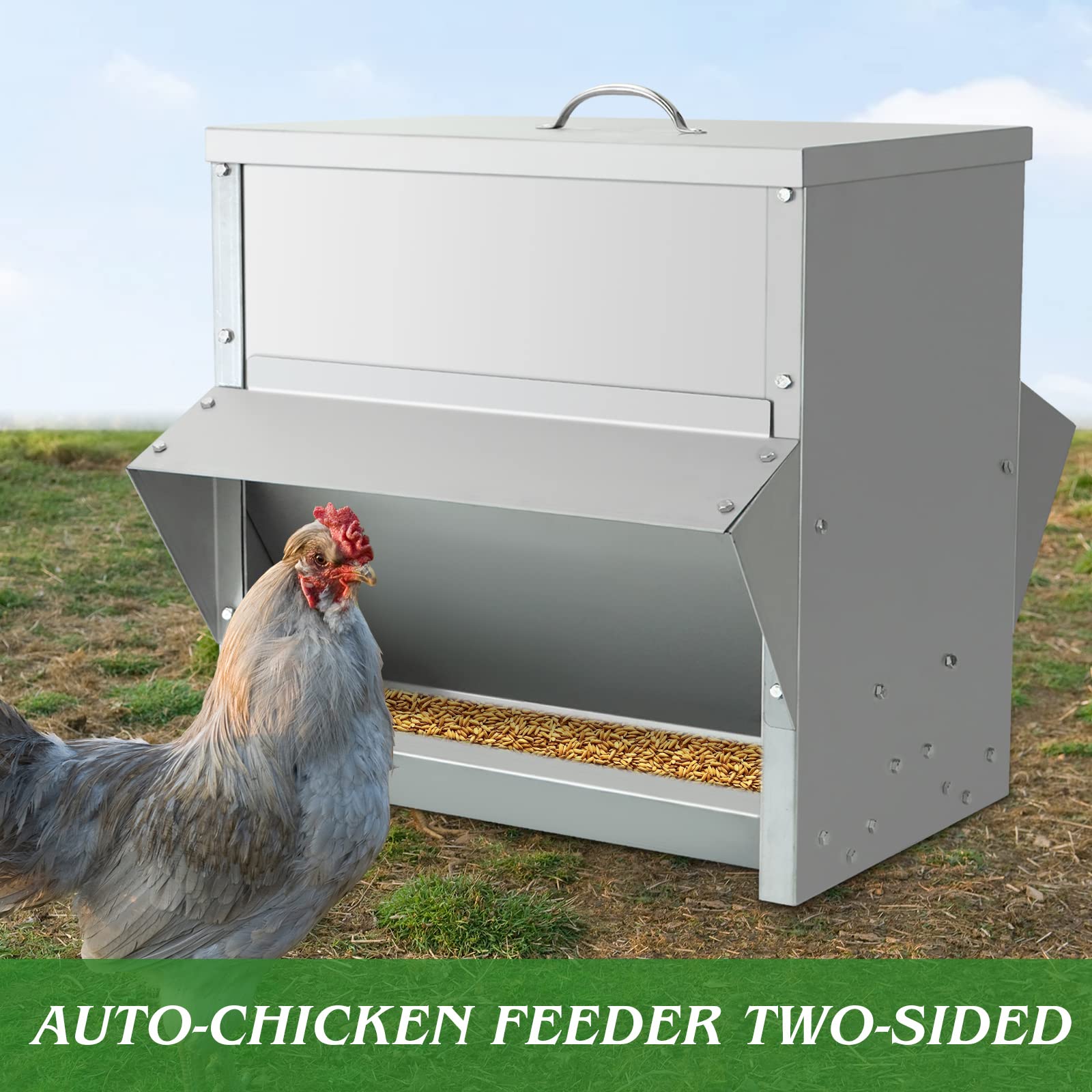Grande Comedero Gallinas 25KG Dispensador De Pienso, Comedero Gallinas Exterior De Acero Inoxidable, Accesorios para Gallinero