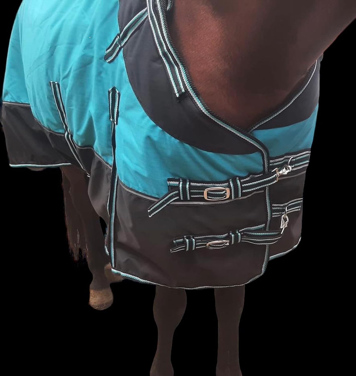 Majestic Ally 600 D Ripstop Nylon Horse Turnout Blanket with Waterproof, Heavyweight Coverage, Rain and Weather Resistant for Fall, or Cold Winter Weather, 250 GSM Fill Turquoise Black, 74 - Inch