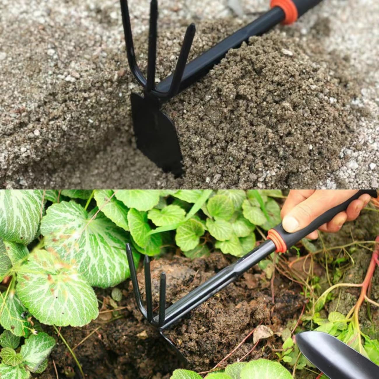 3 Prong Garden Fork for Garden Soil,Cultivator Garden Hoe,Hand Hoe Hand Rake for Loosening Soil and Weeding(2 in 1 Gardening Tools ),Garden Digging Hoe and Rake,Garden Hoe Long Handle - Image 4