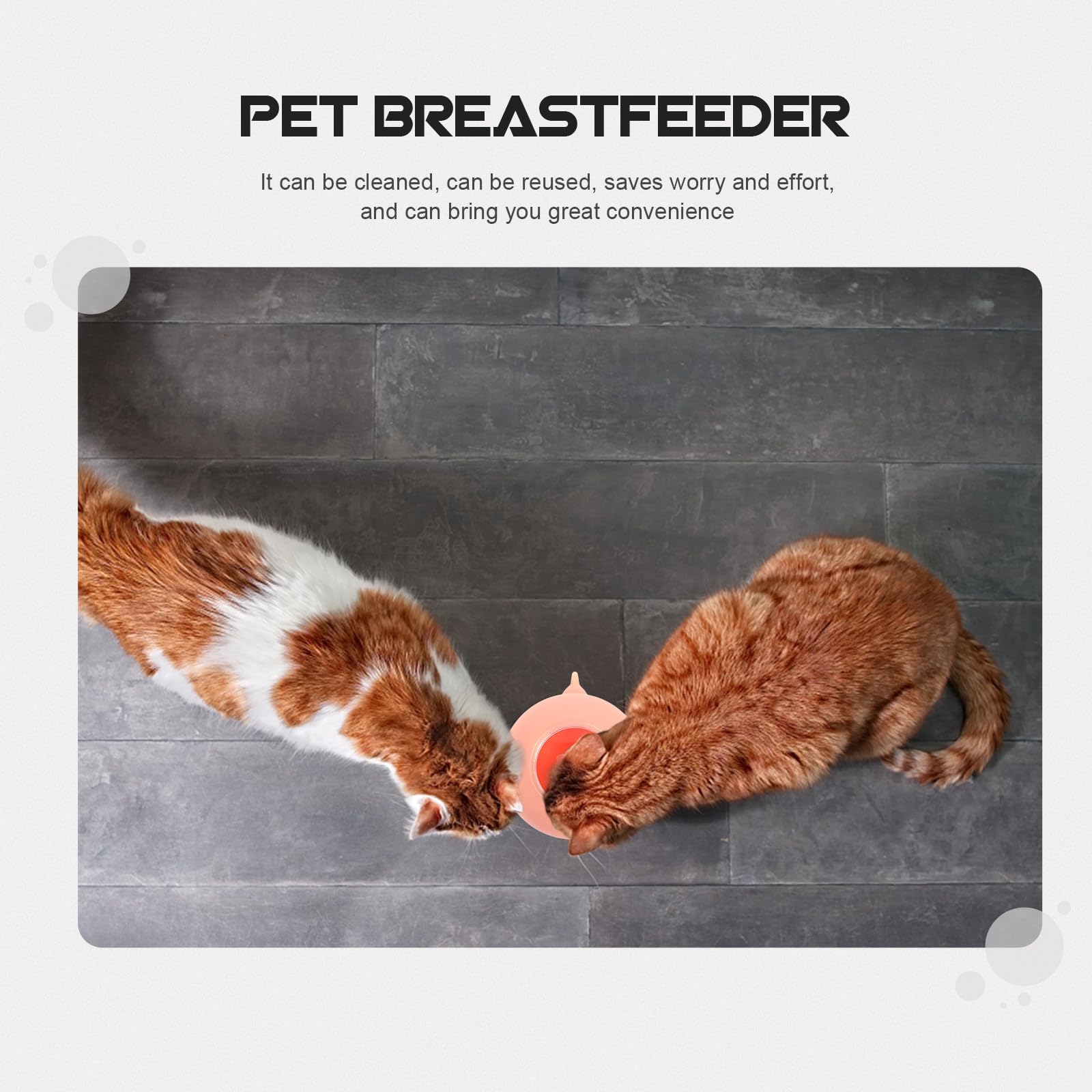Homoyoyo Mangiatoia per Cuccioli e Gattini 200ml Tettarelle in Silicone, Contenitore Latte per Animali Domestici Appena Nati, Strumento per Allattamento Ragazzo Ragazza e Piccoli Animali