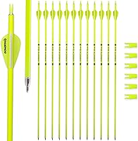 BOWSOUL 30 Inch Carbon Arrows Spine 500 - Bright Hunting Target Practice Arrows for Compound Recurve Bows, 12 Pack