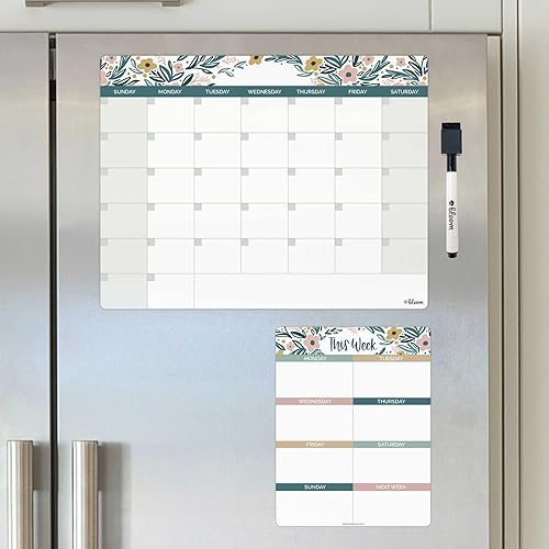bloom daily planners Calendario magnético de borrado en seco, 2 organizadores de horarios mensuales y semanales, tabla de tareas, pizarras blancas
