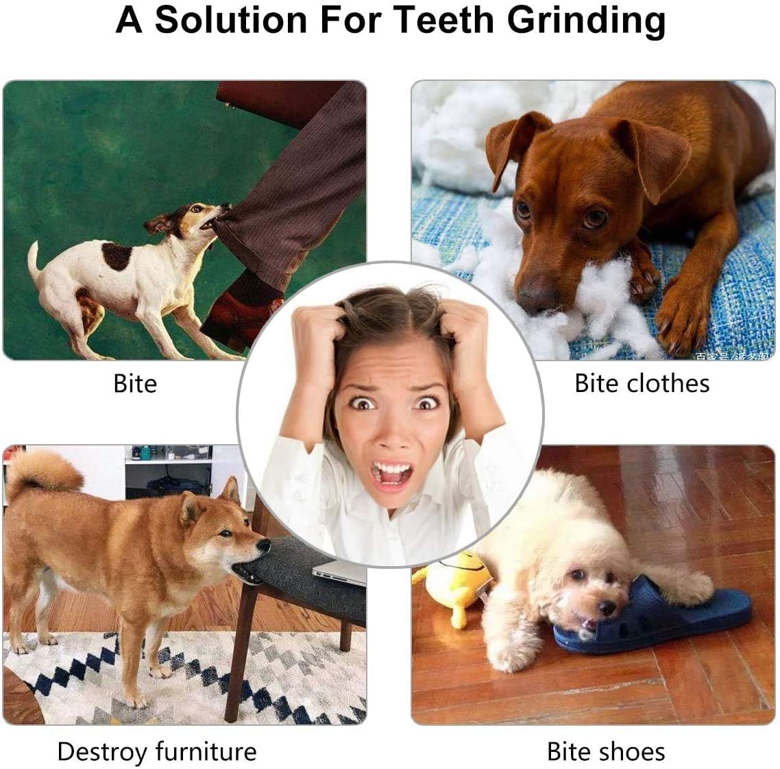 Dog Treat Ball - Image 4