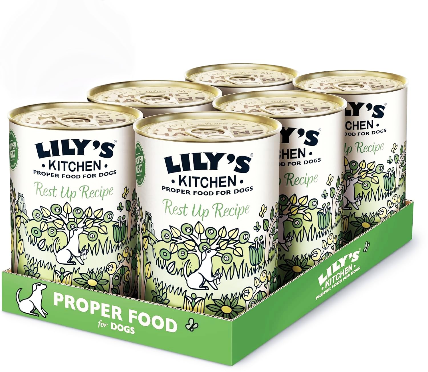 Lily's Kitchen Recovery Recipe Wet Dog Food Box 6x400G