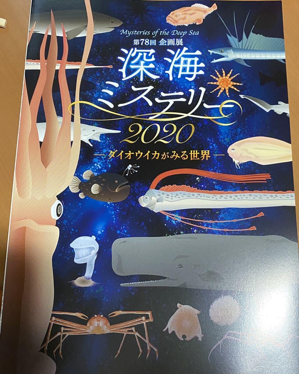 No5055 額装 金謙伊 コスモス 油彩 大作 直筆サイン 風景画 送料無料