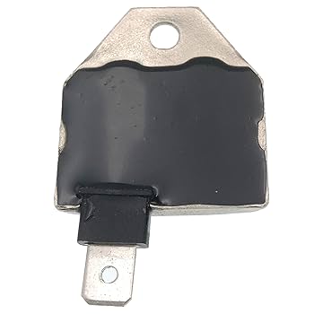 AM132770 AM131398 21119-2161 BM11 Ignition Module Trigger