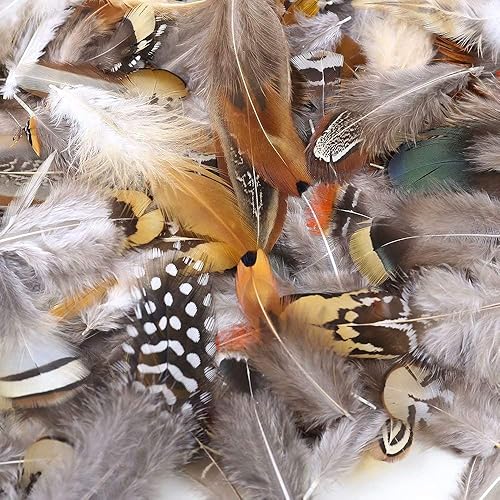 Miniatura 2 de 360 plumas naturales de 12 estilos surtidos de plumas para joyas y manualidades de atrapasueños