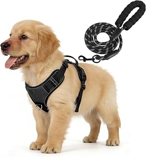 YooxArmor Hundegeschirr Mittelgroße Hunde und Leine Set,No Pull Verstellbar Anti Zug Geschirr mit Griff,Atmungsaktiv Reflexstreifen & Sichere Führung Brustgeschirr,Schwarz M