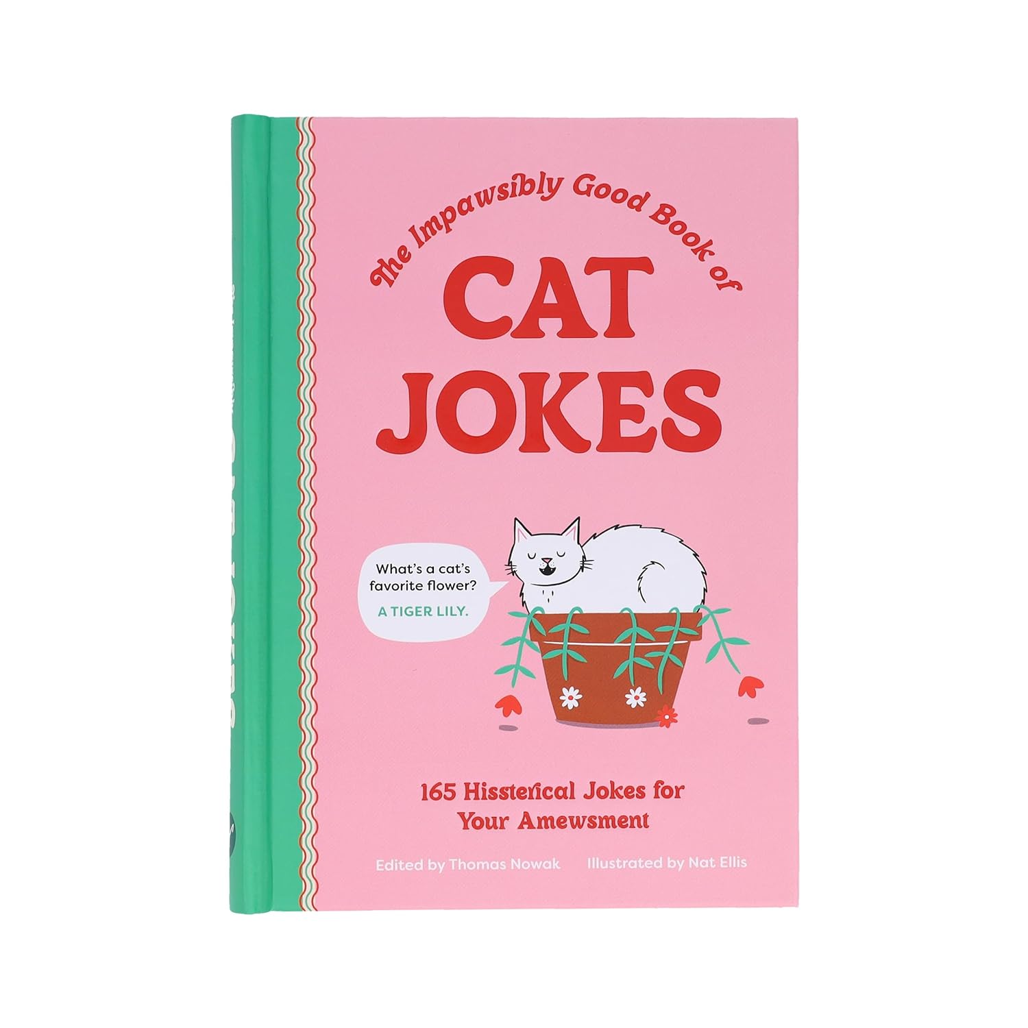 The Impawsibly Good Book of Cat Jokes: 165 Hissterical Jokes for Your Amewsment - Image 11