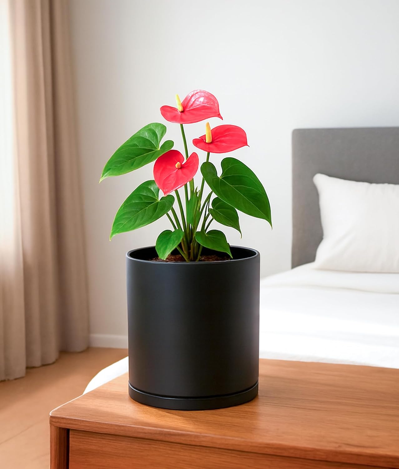 D'vine Dev Double-Layer Self-Draining Planter Set – Rotating Plastic Outer Pot with Clear Inner Liner for Root Health, Perfect for Indoor Plants, 6.5", Set of 2, Black, 73-V-B-2