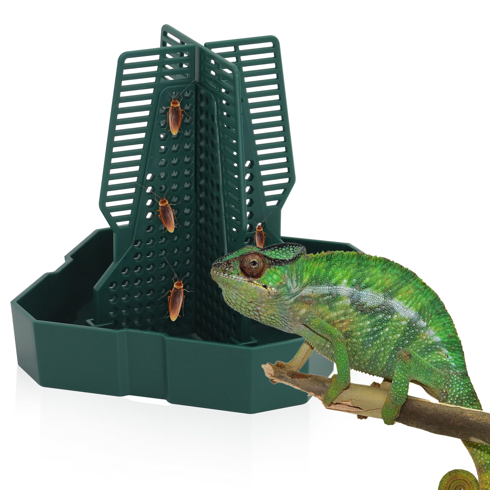 Chameleon Feeding Bearded Dragon Bug Bowl Reptile Feeder Box with Column for Insects to Climb for Feeding Chameleon Gecko Lizard Frog (S)