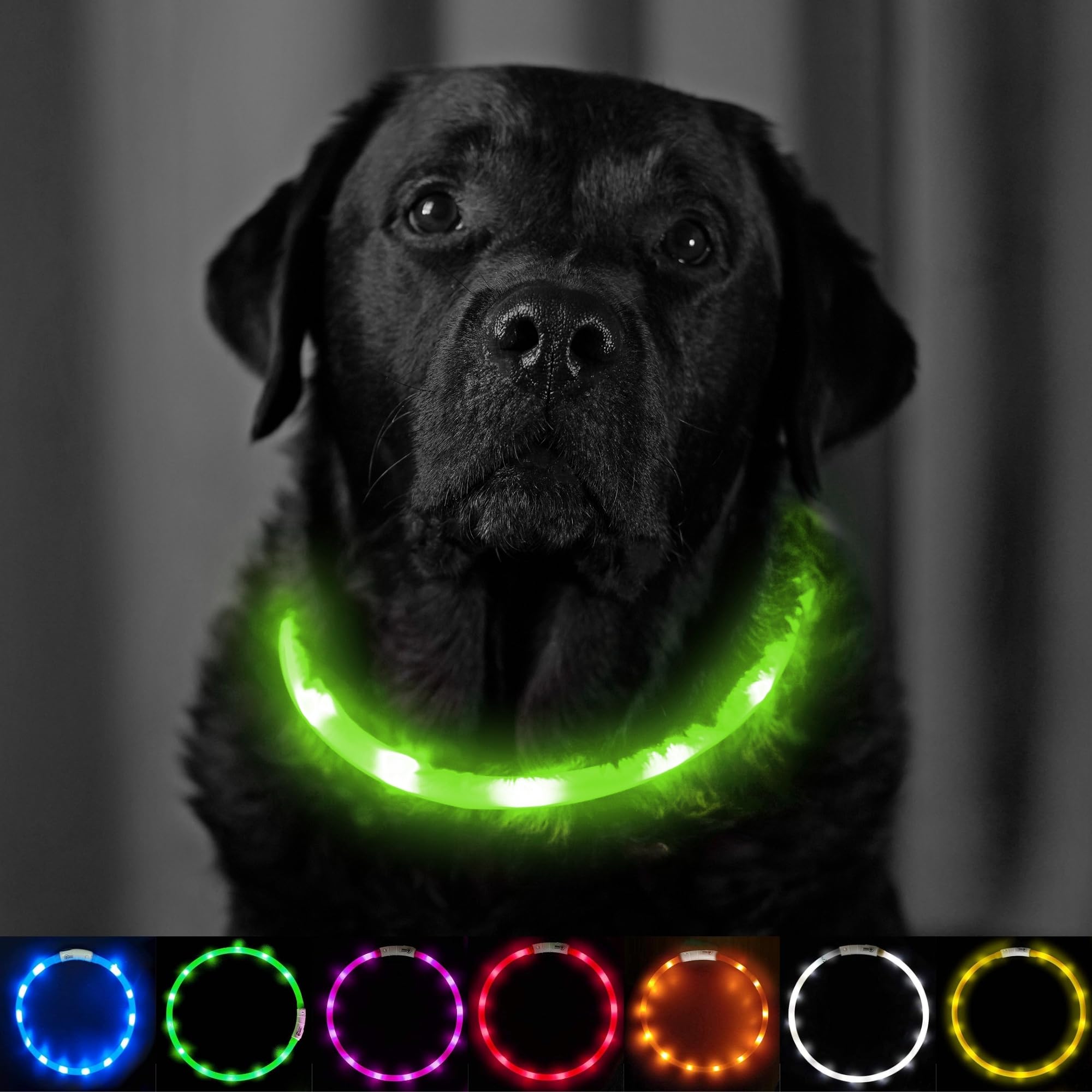 PetSol LED Dog Collar In Red USB Rechargeable Flashing Light Safety - Foto 13