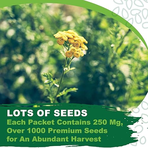 Miniatura 5 de TKE Farms & Gardens - Wormwood Seeds for Planting, 1000+ Heirloom Non-GMO Seeds, Aromatic Perennial Herb with Silvery Foliage, Hardy and
