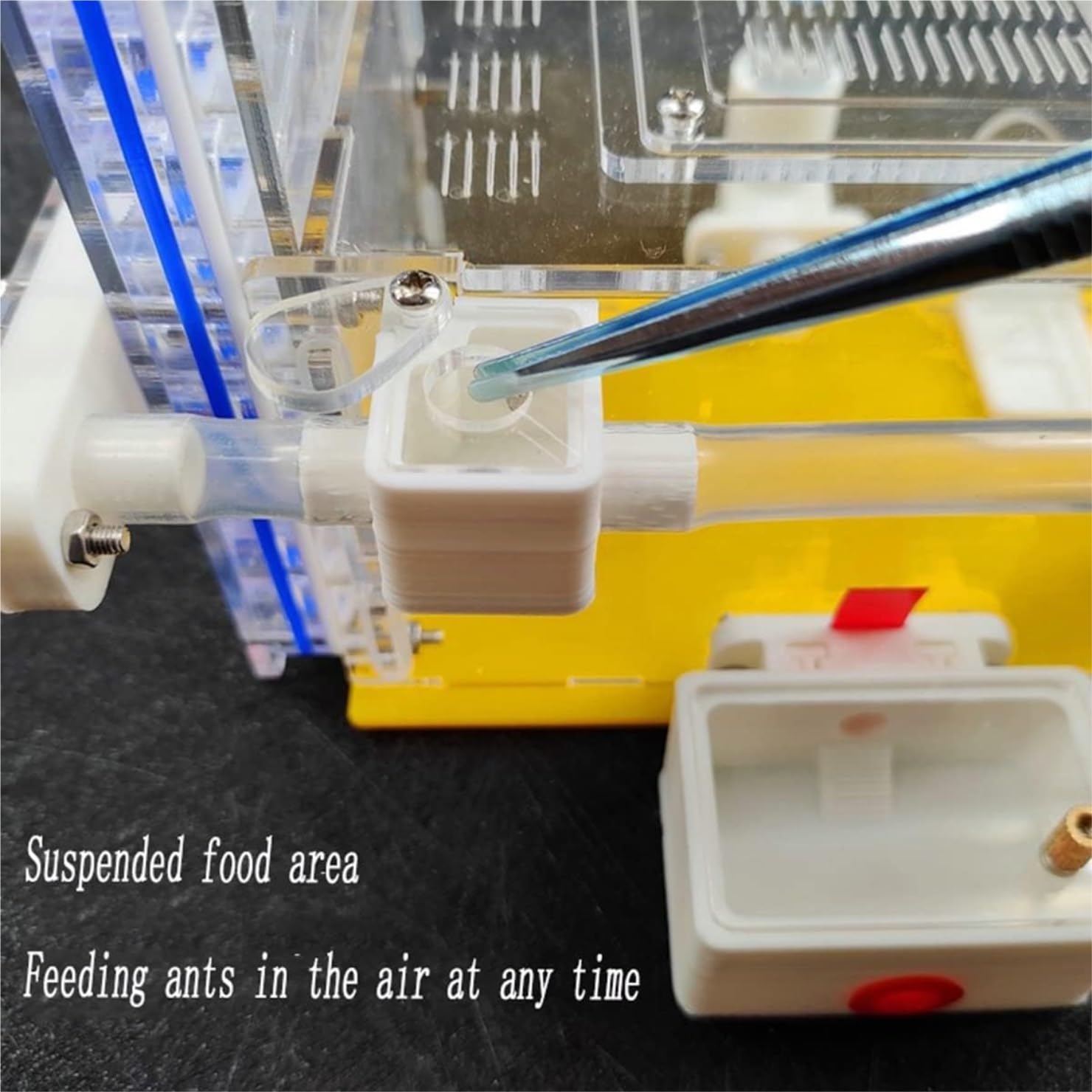 Formicaio Acrilico Trasparente Con Torre Dell'Acqua - Habitat Per Formiche Vive Con Accessori - Foto 5