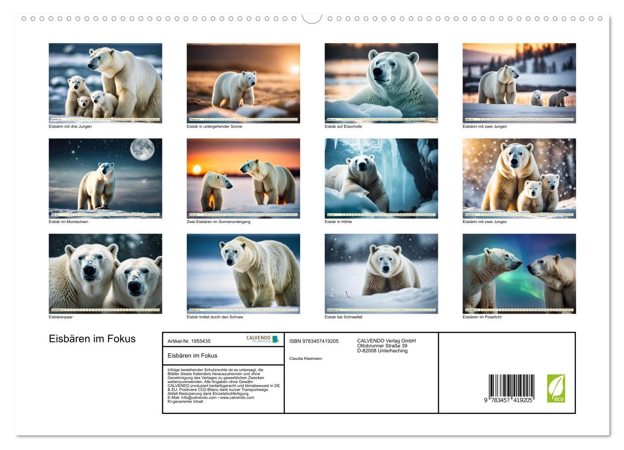 Eisbären im Fokus (hochwertiger Premium Wandkalender 2026 DIN A2 quer), Kunstdruck in Hochglanz: Portraits der weißen Riesen (CALVENDO Tiere)