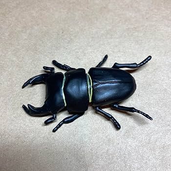 チョコQ日本の動物シークレットオオクワガタサナギ Amazon.co.jp: チョコQ 日本の動物 シークレット SP S04b