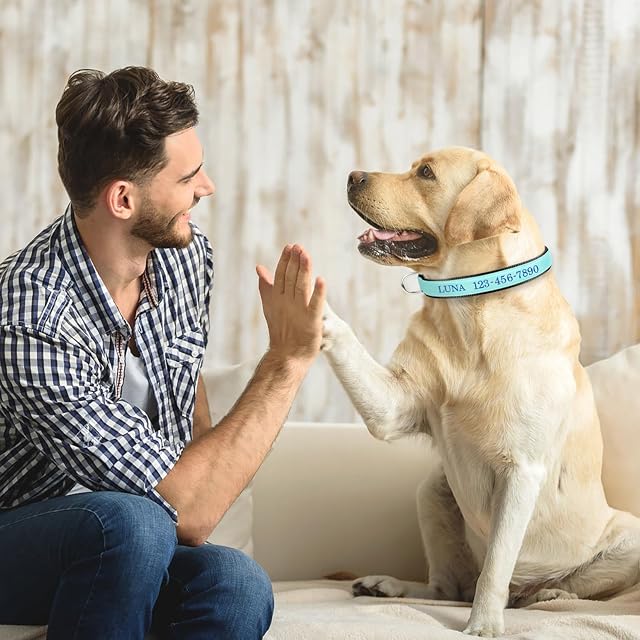 Foto 6 de 7 de Collar de perro personalizado que brilla en la oscuridad