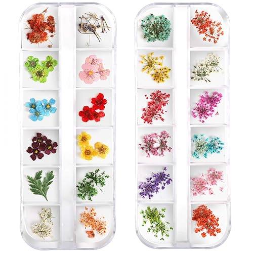 Teenior 24 Colors Nail Dried Flowers, 3D Nail Art Sticker