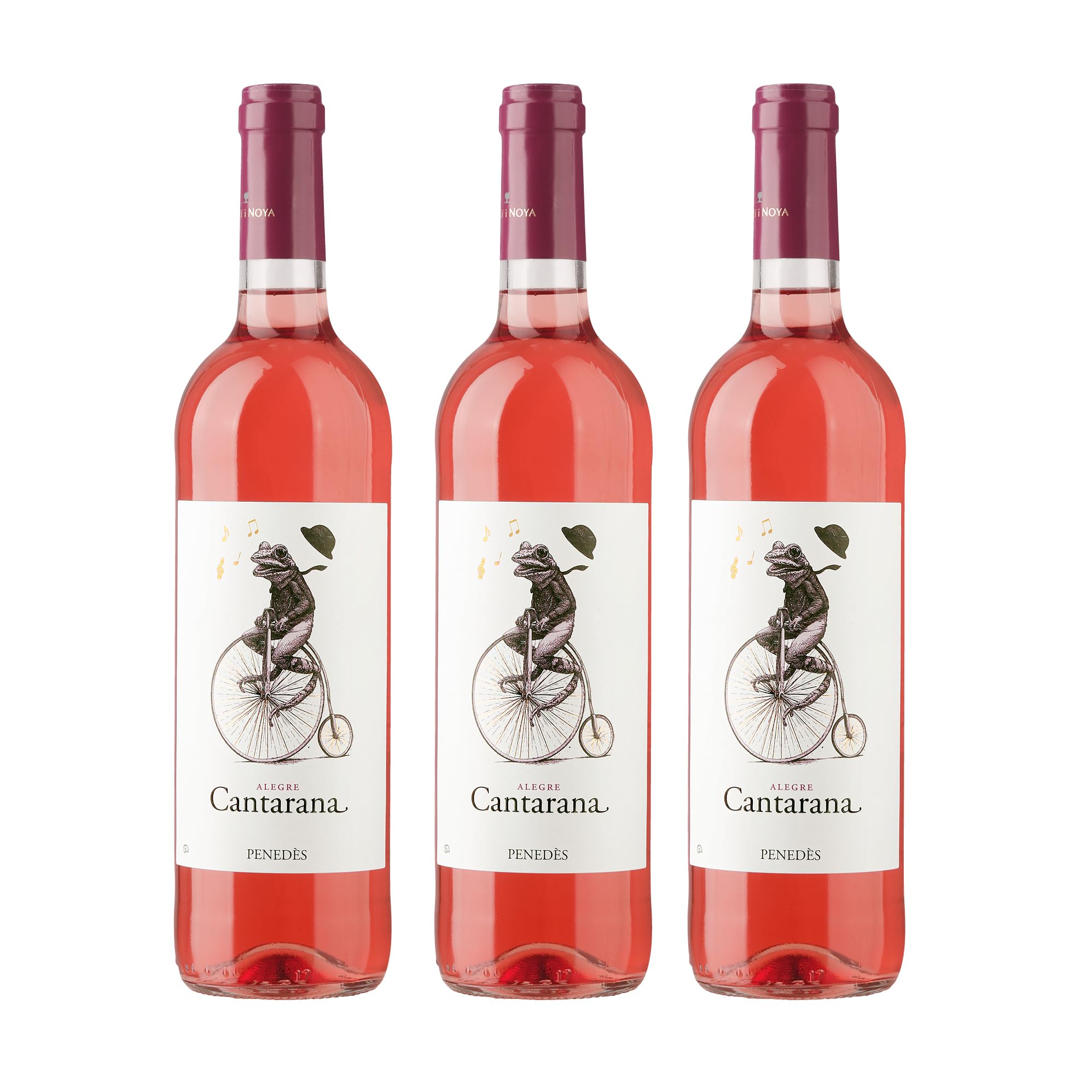 DELINAT – Albet i Noya Cantarana 2023 – Spanischer Roséwein trocken – Bio-Wein aus Penedès, vegan