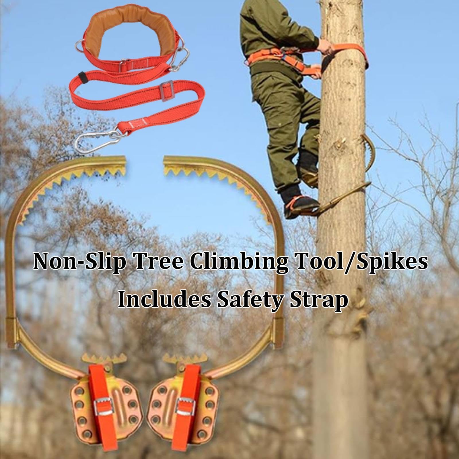 Crampons Professionnels pour l'élagage et l'entretien des Arbres et poteaux