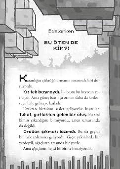 Minecraft-Mysterious Enemy