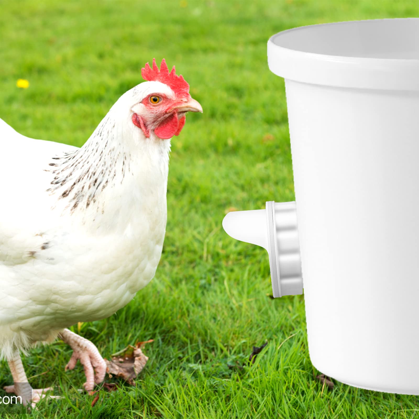 Buy DIY Chicken Feeder Ports Kit Rain Proof Poultry Feeder Gravity Feed Kits Weather Resistant