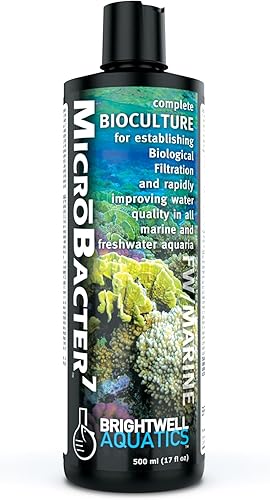 Brightwell Aquatics MicroBacter7 Biocultura completa para pecera o acuario  Rellena medios de filtro biológico para peces de agua salada y dulce